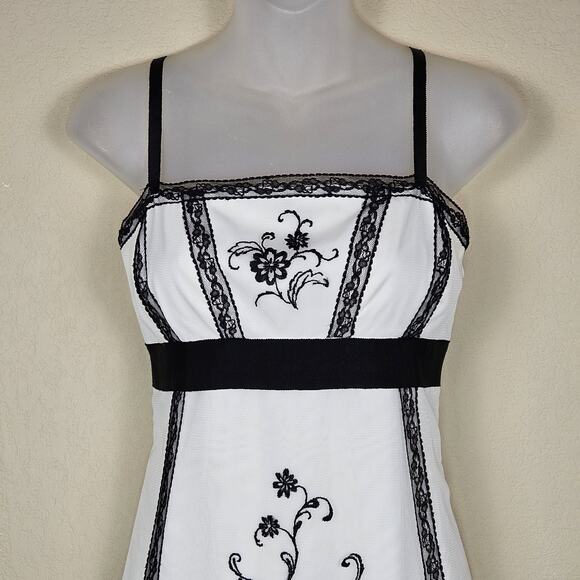 Ann Taylor Loft Lace Embroidered Tulle Dress Womens 4 Party Coquette Romantic - Picture 2 of 16